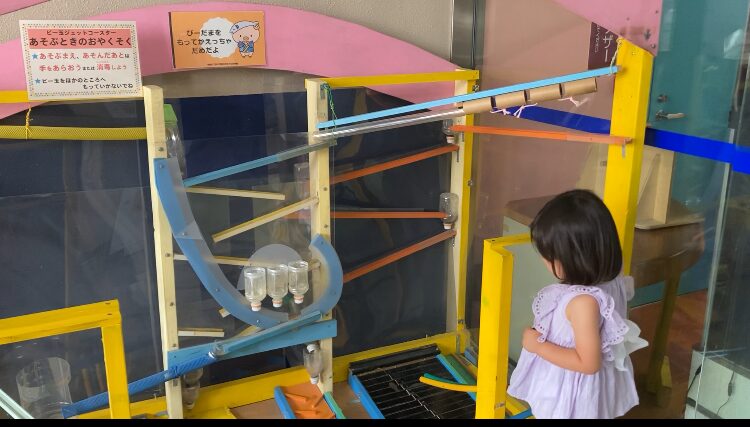 厚木市子ども科学館のビー玉ジェットコースター