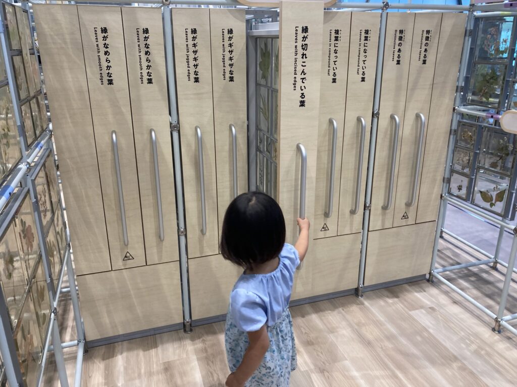 仙台市科学館4階で隠れている標本棚を探す4歳娘