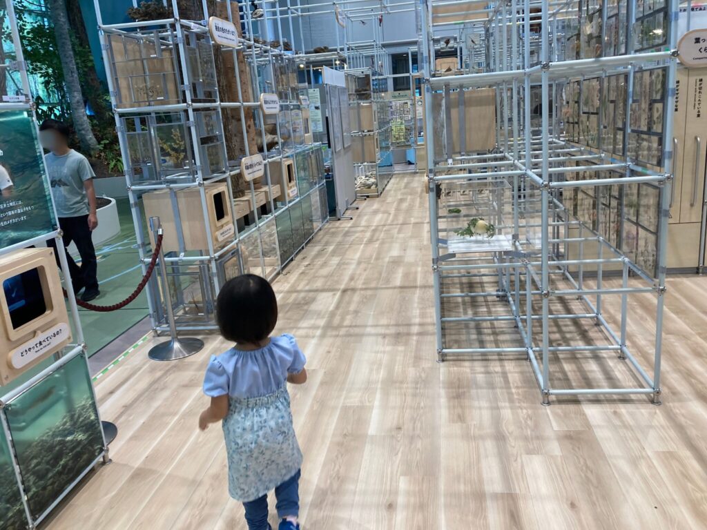 仙台市科学館4階の標本展示を探検する4歳娘